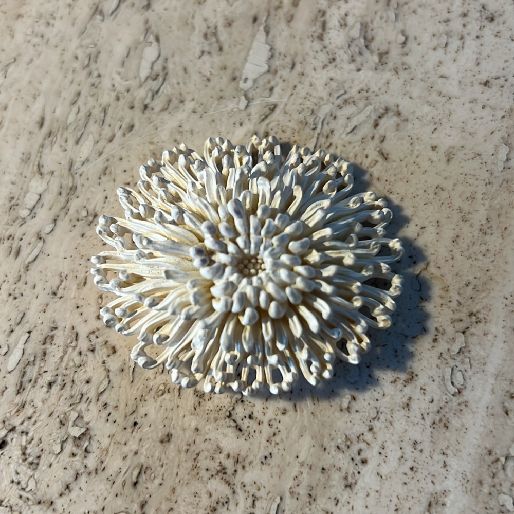 Vintage celluloid chrysanthemum brooch - Picture 2 of 4